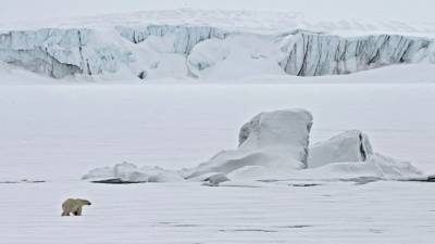 В МИД России сообщили о мерах по обеспечению безопасности в Арктике