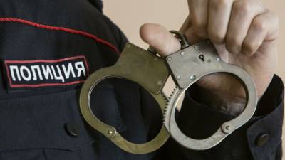 Члена белорусского землячества арестовали за несогласованный пикет в Петербурге