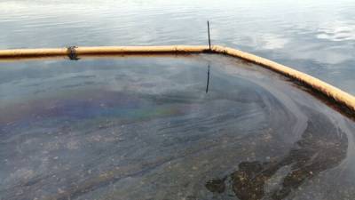 Ленобласть запасает питьевую воду из-за разлива топлива в реке под Новгородом