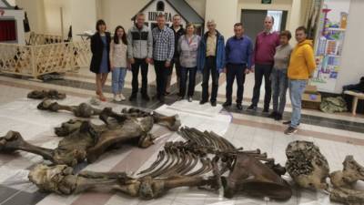 Уральский учёный рассказал о найденных на Ямале останках мамонта