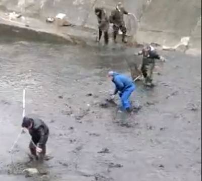 Ростовчан, собиравших рыбу в обмелевшем Северном водохранилище, оштрафовали