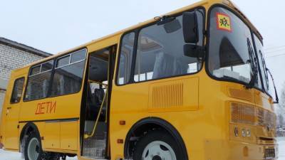 Пьяный водитель автобуса из Тюменской области вез 19 детей в школу