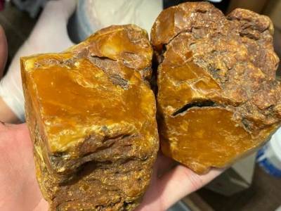 Сотрудники СБУ изъяли несколько партий нелегально добытого янтаря на более чем 11 млн грн