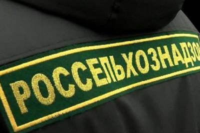 В Смоленской области задержали 60 тонн нелегальных продуктов