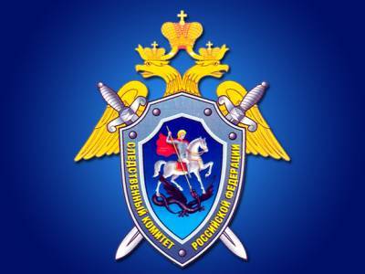 Следователи подключились к ЧП с взрывом газа в Новой Москве