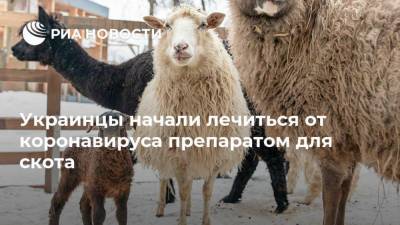 Украинцы начали лечиться от коронавируса препаратом для скота