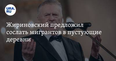 Жириновский предложил сослать мигрантов в пустующие деревни. «Чтобы не гуляли по просторам России»
