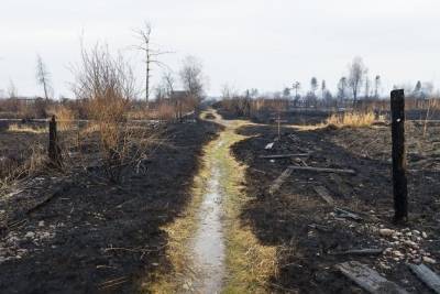 Комиссия по ЧС ввела особый противопожарный режим в Александрово-Заводском районе