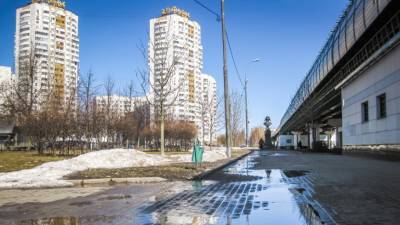 Тепло и малооблачно: синоптики рассказали о погоде в Москве и области
