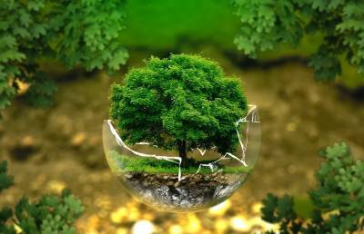 Сегодня Беларусь присоединится ко всемирной экологической акции «Час земли»