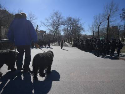 Прогулка с собакой, использование клаксона и другие митинги. Новости к утру 27 марта