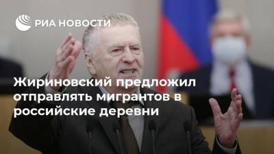 Жириновский предложил отправлять мигрантов в российские деревни