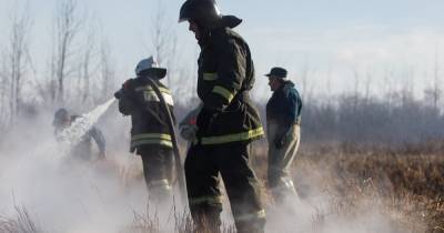 Калининградские пожарные 66 раз за сутки выезжали на тушение горящих полей