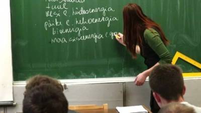 Ещё одной русской школе в Эстонии грозит закрытие