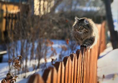 В воскресенье в Смоленской области станет еще теплее