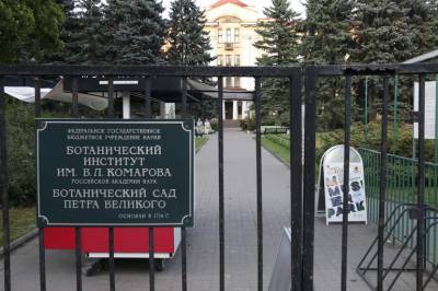 Петербуржцев ждут очереди на входе в Ботанический сад