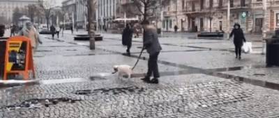 Каждый сходит с ума по-своему: в Днепре на Европейской площади парень гулял с козленком на поводке