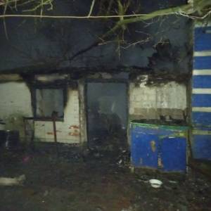 В Мелитопольском районе во время пожара погибли два человека. Фото