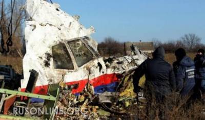 Тайные переговоры Нидерландов и РФ стали ударом по официальной версии крушения MH17
