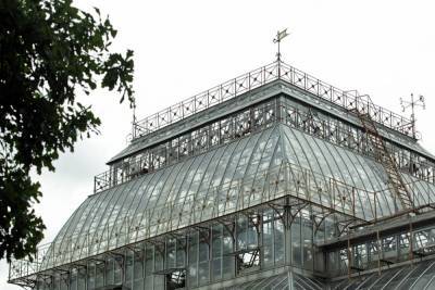 Ботанический сад Петра Великого предупредил об ажиотаже на входе