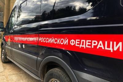 Следственный Комитет проводит проверку по факту гибели двух человек в пожаре в Тверской области