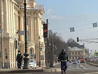 В центр Петербурга по неизвестной причине стягивали силовиков (фото)