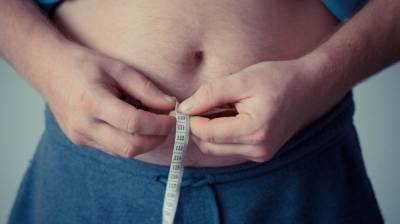 Россиянам рассказали, какой орган поможет избавиться от лишнего веса