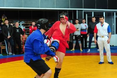 В чемпионате по боевому самбо в Донецке участвовали 50 спортсменов