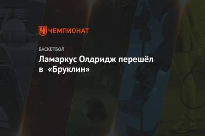 Эдриан Войнаровски - Стив Нэш - Ламаркус Олдридж перешёл в «Бруклин» - championat.com - Лос-Анджелес