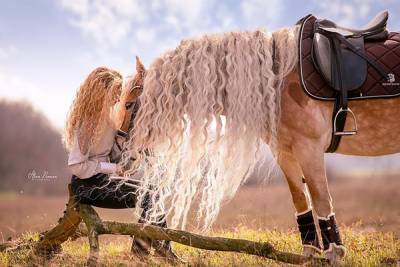 Лошадь с волосами Рапунцель завела инстаграм: невероятно красивые фото