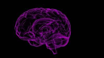 Ученые выяснили, что человеческий мозг может хранить воспоминания в двух полушариях