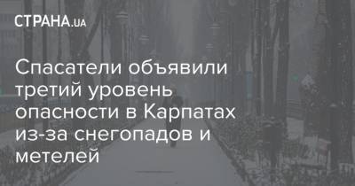 Спасатели объявили третий уровень опасности в Карпатах из-за снегопадов и метелей