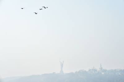 Киев оказался среди лидеров в мире по загрязненности воздуха
