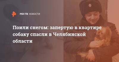 Поили снегом: запертую в квартире собаку спасли в Челябинской области
