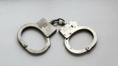 Сбившую на Audi двух подростков в Тосно задержали полицейские