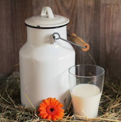 Нутрициолог Кристина Журавлёва опровергла миф о полезных свойствах пастеризованного молока