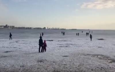 Видео: петербуржцы вышли с детьми на подтаявший лед на Финском заливе