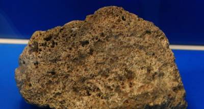 Вместо червей – артефакт. В Британии мальчик обнаружил окаменелость эпохи палеозоя