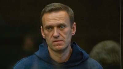 Члены ОНК посетили осужденного Навального во владимирской ИК