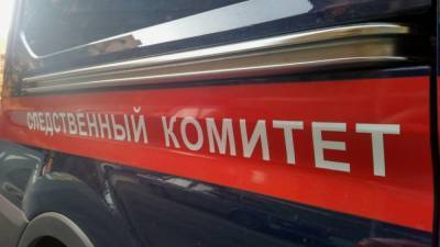 Дебошир переехал на машине и избил соцработницу в Татарстане