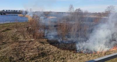 В Латвии горит старник: 76 возгораний за сутки
