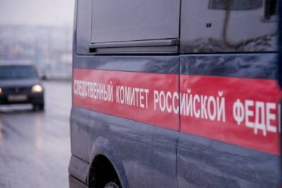 СК организовал проверку после обнаружения в Волгограде тел 2 младенцев