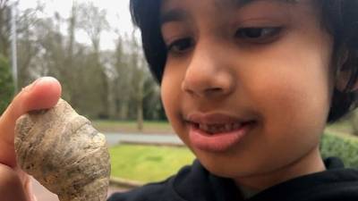 Мальчик нашел во дворе окаменелость возрастом до 500 миллионов лет