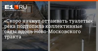 «Скоро начнут оттаивать туалеты»: река подтопила коллективные сады вдоль Ново-Московского тракта