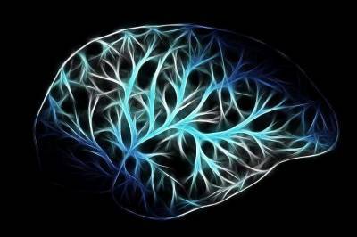 Учёные: Мозг человека из-за гипноза меняет способ обработки информации