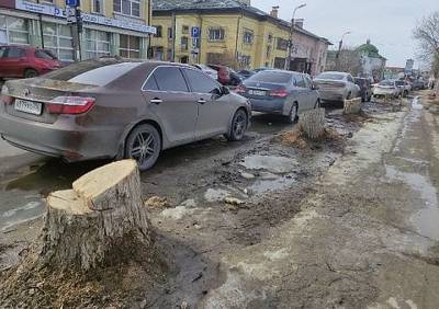 «Северная компания» срубила деревья на улице Радищева