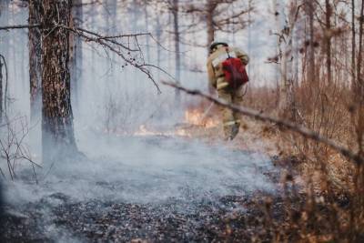 Гурулёв рассказал про виновного в первом лесном пожаре 2021 года в Забайкалье