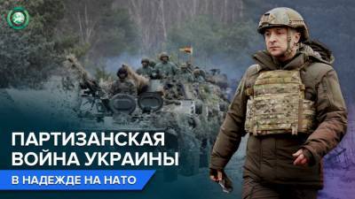 Новая военная стратегия Украины: денег нет, но партизаны будут