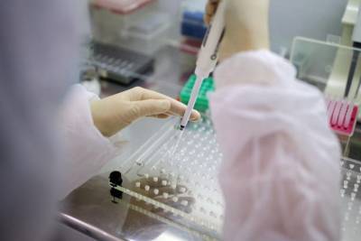 Более 119,5 миллиона тестов на коронавирус провели в России - vm.ru