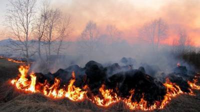 За сутки – более 70 гектаров сгоревшей земли: почему нельзя жечь траву – фото, видео